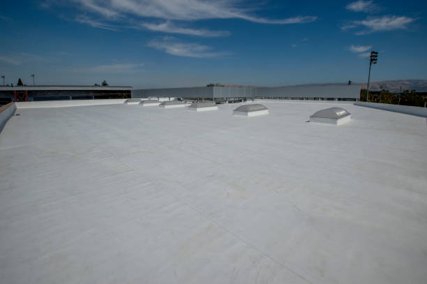 Best Solar Panel Roofing Installation  in Belle Plaine, KS