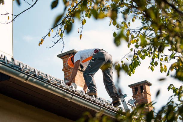 Best Roof Coating and Sealing  in Belle Plaine, KS