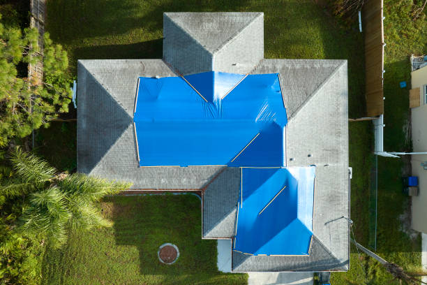 Best Asphalt Shingles Roofing  in Belle Plaine, KS